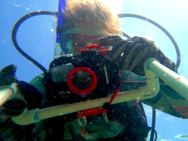 海洋生物学学生在水下拍摄珊瑚.